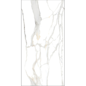 Керамогранит AVS Satvario Valencia 60x120 карвинг